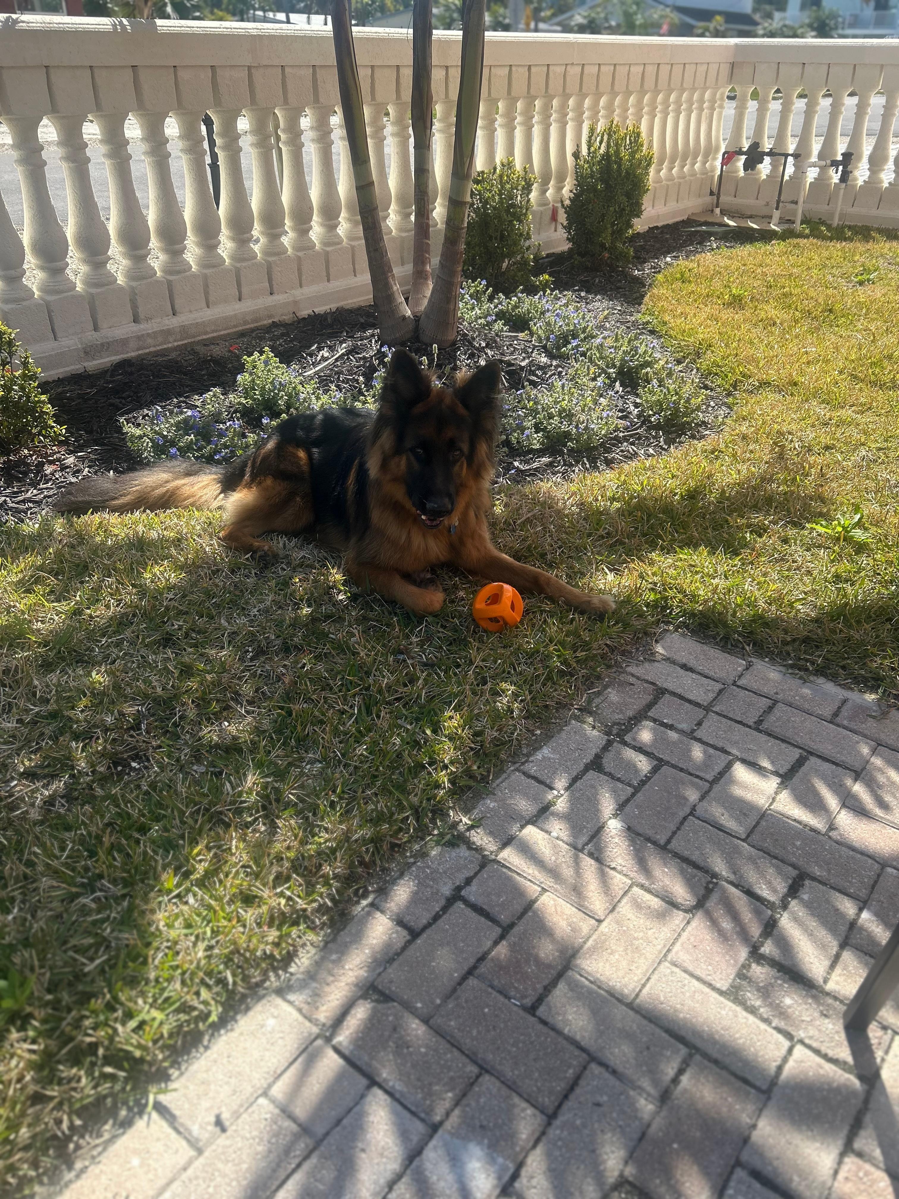 Jake enjoyed his stay as well