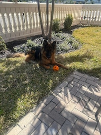 Jake enjoyed his stay as well