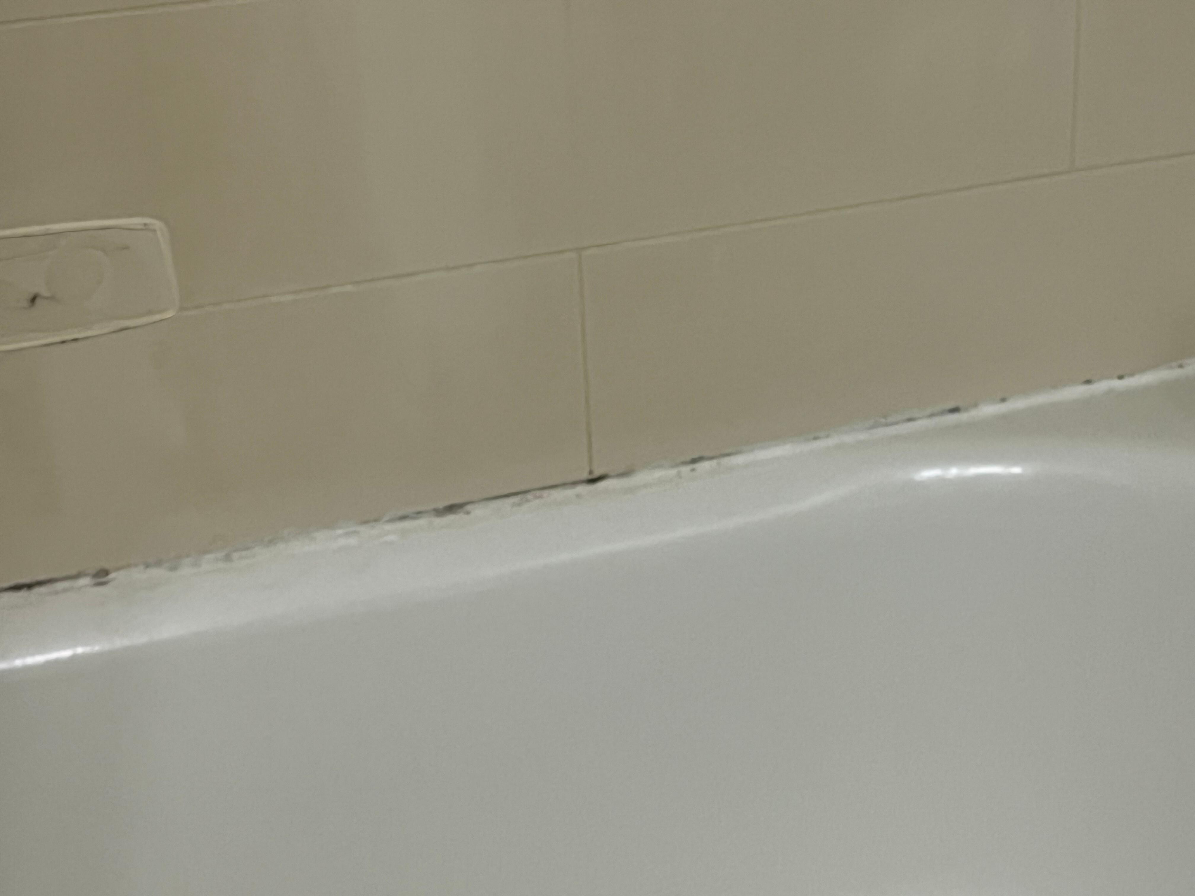Moldy bathrub
