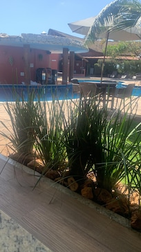 A vista do café da manhã perfeita para a piscina