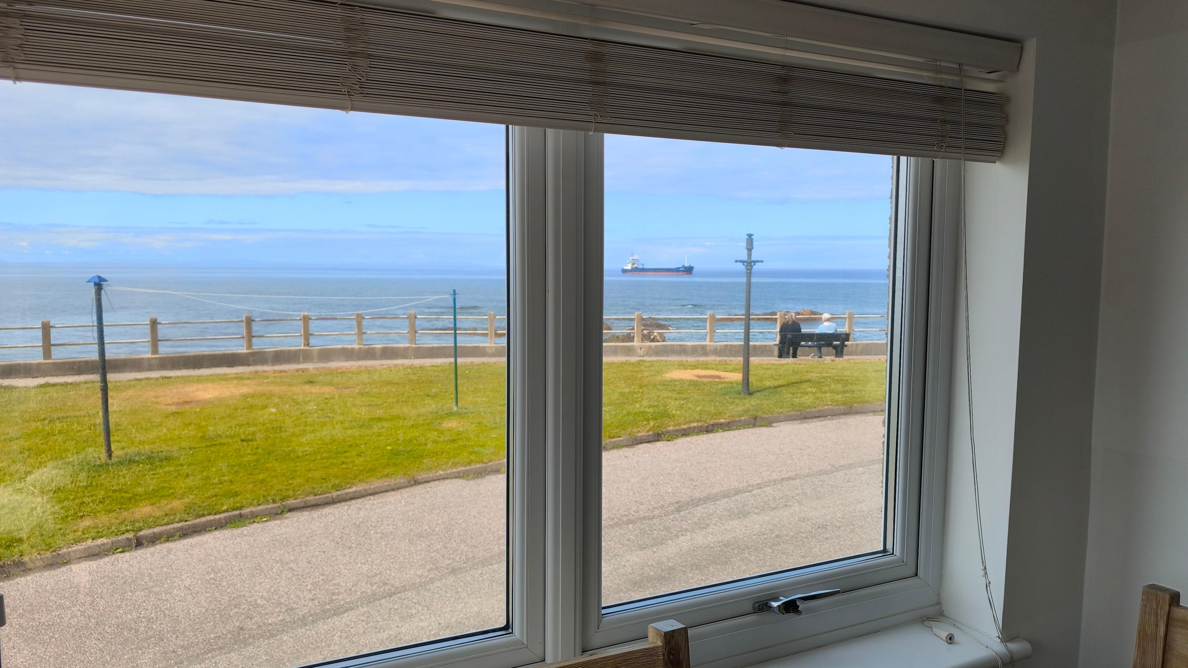 View from the dining table