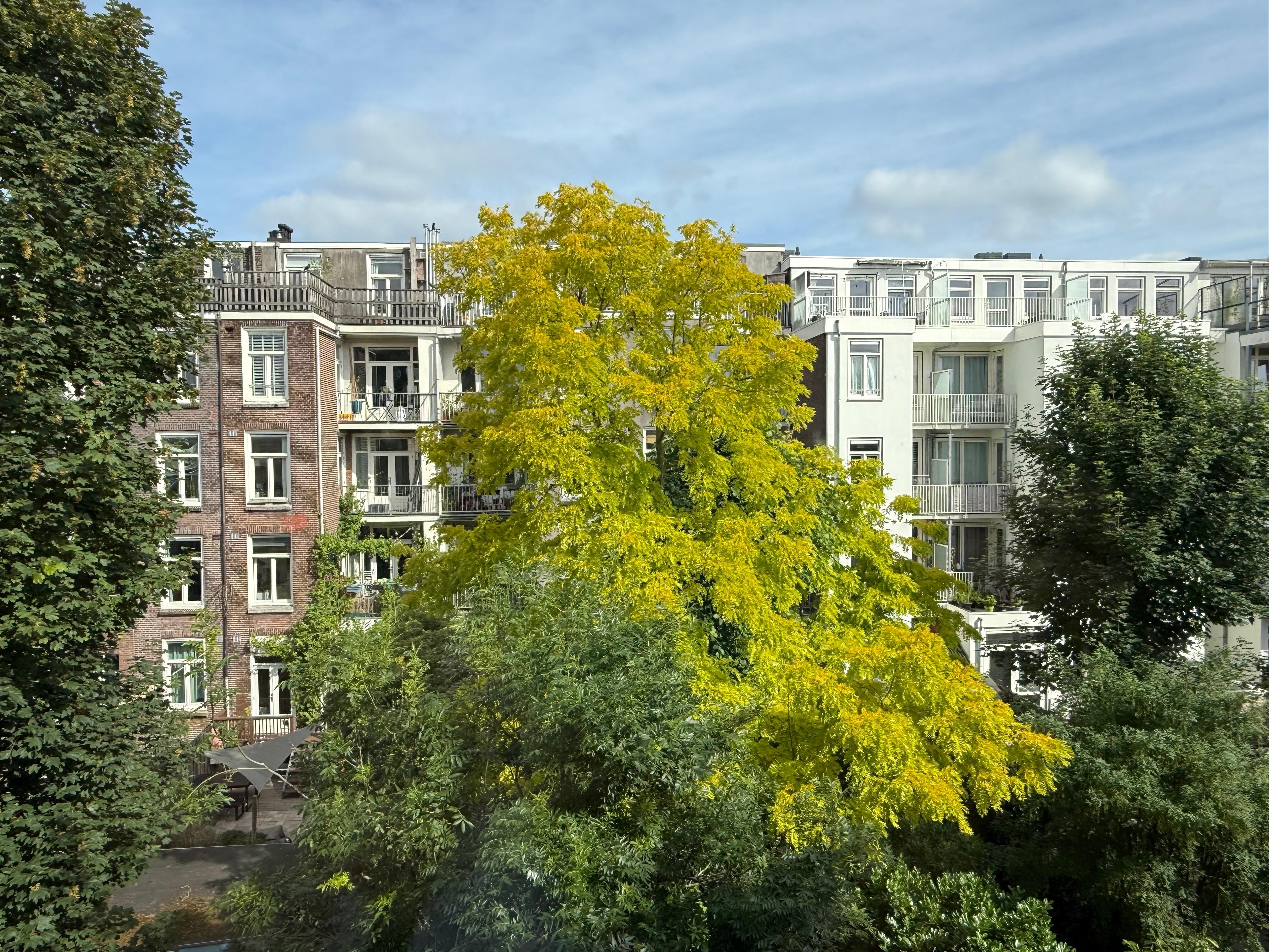 View from Bedroom 1