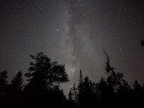Taken by Pixel 8a