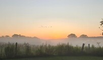 Sunrise form the front porch.