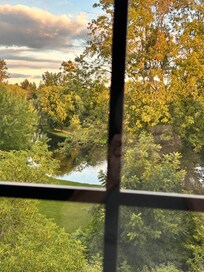 View of Stewart Park out my park view window