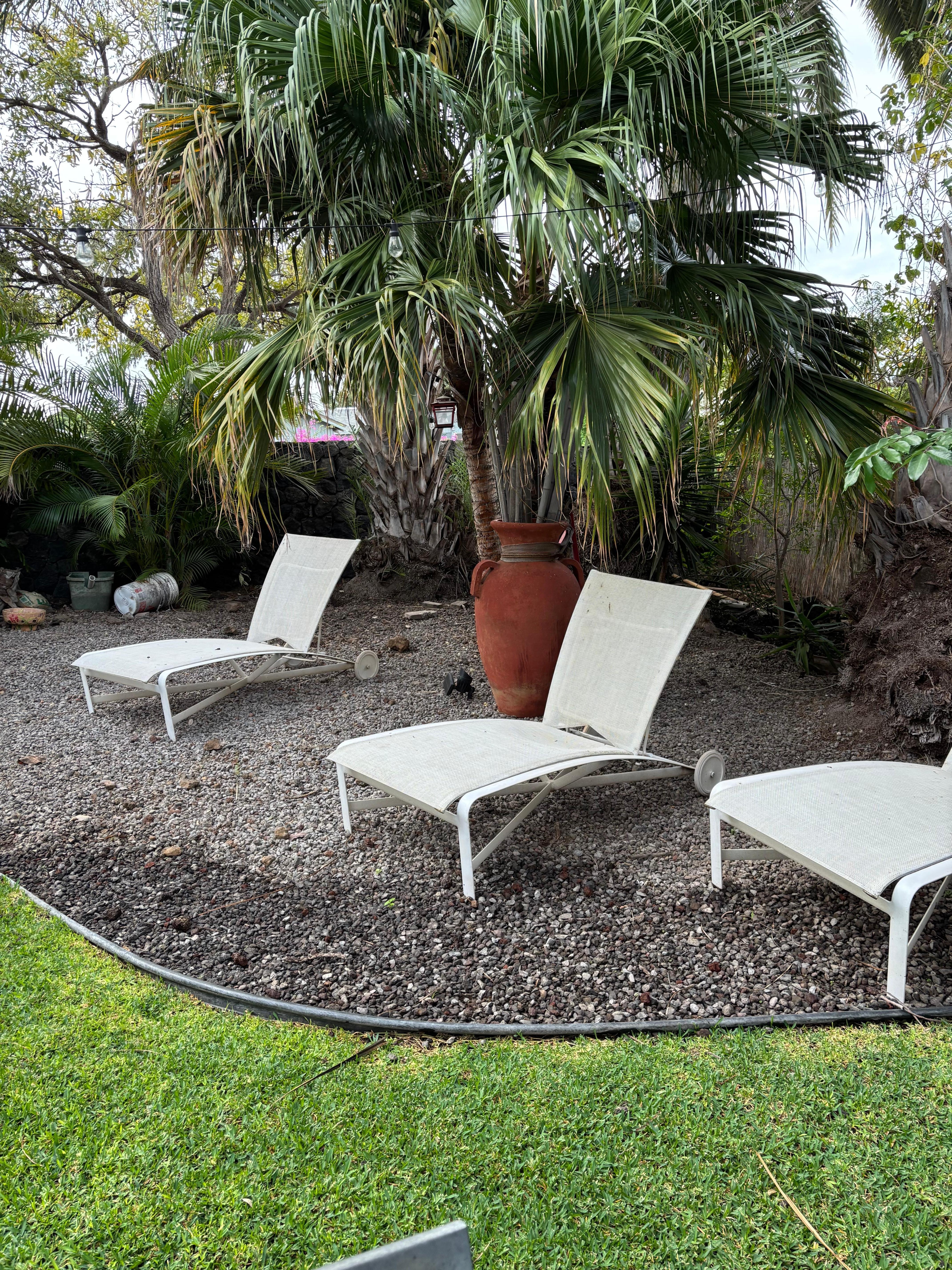 Chairs to sit in and listen to the birds. 