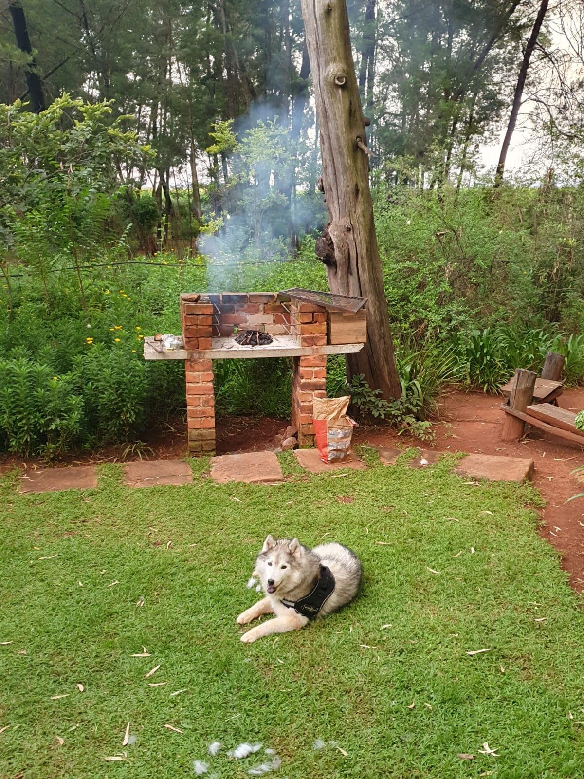 Braai master Lexi