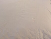 Pillow: blood or pen?