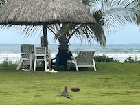 Lo máximo para los amantes de la Naturaleza. En la foto una iguana que iba de paso.