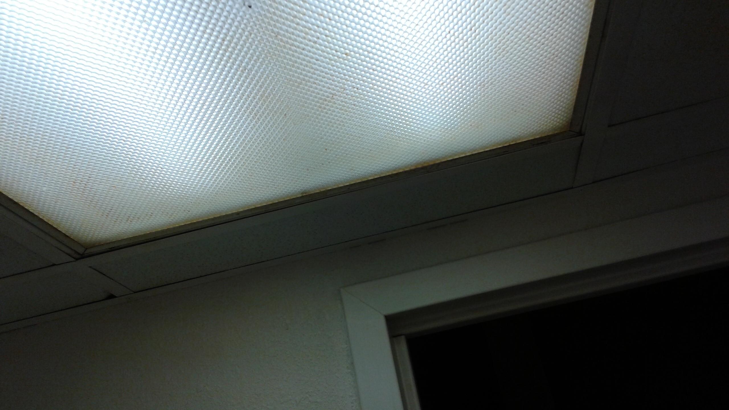 Splatters of yellow covered the bathroom ceiling