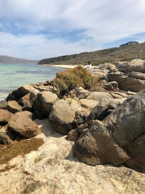 Shark beach