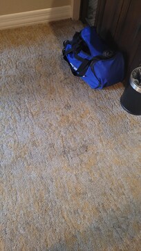 Dirty Carpet