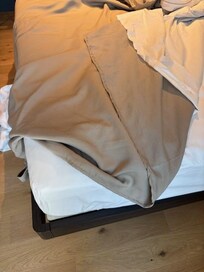 Polyester blanket (no duvet)