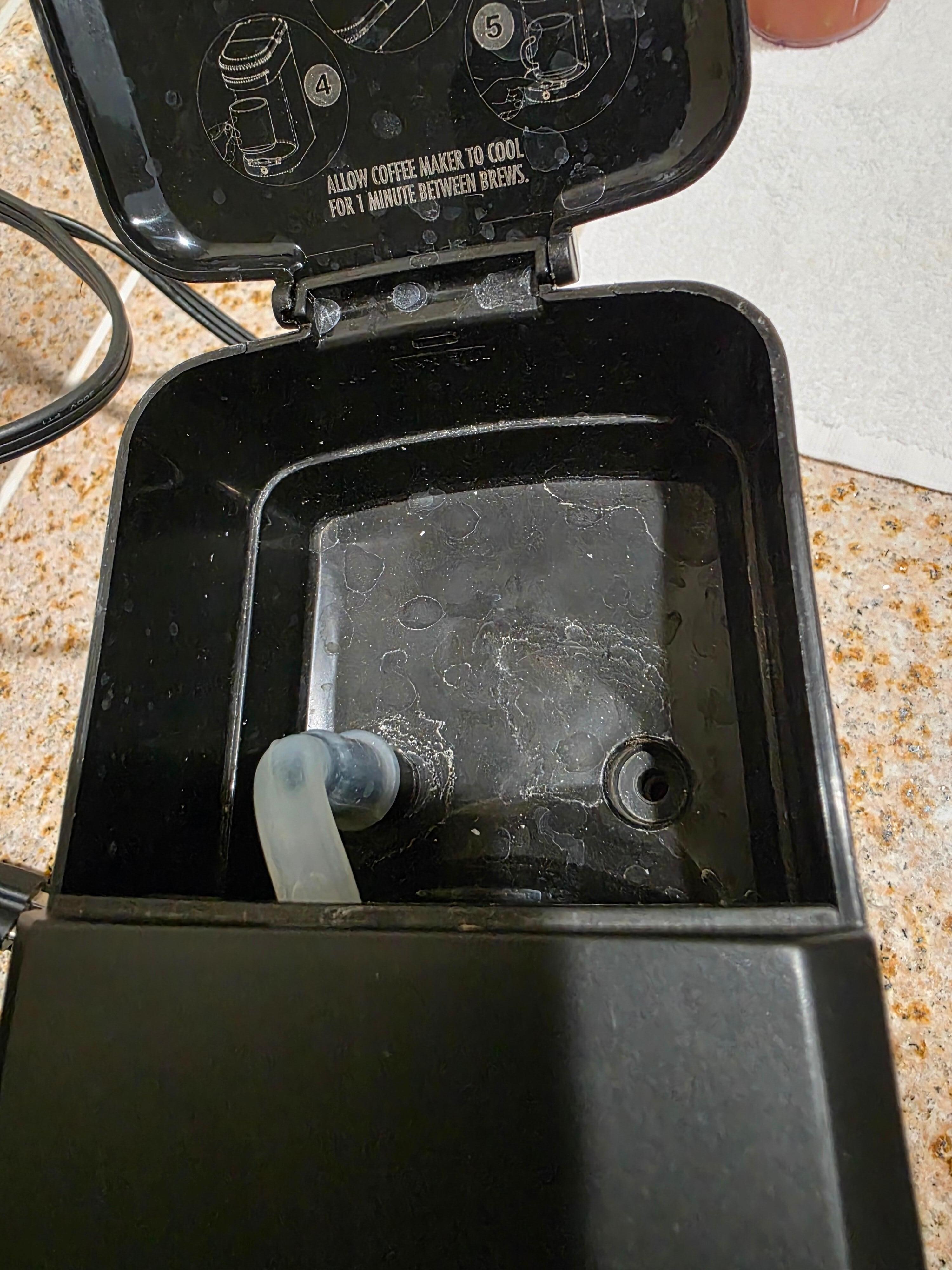 DEFINITELY no coffee