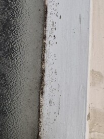 Sauber sieht anders aus