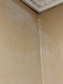 Stains on wall