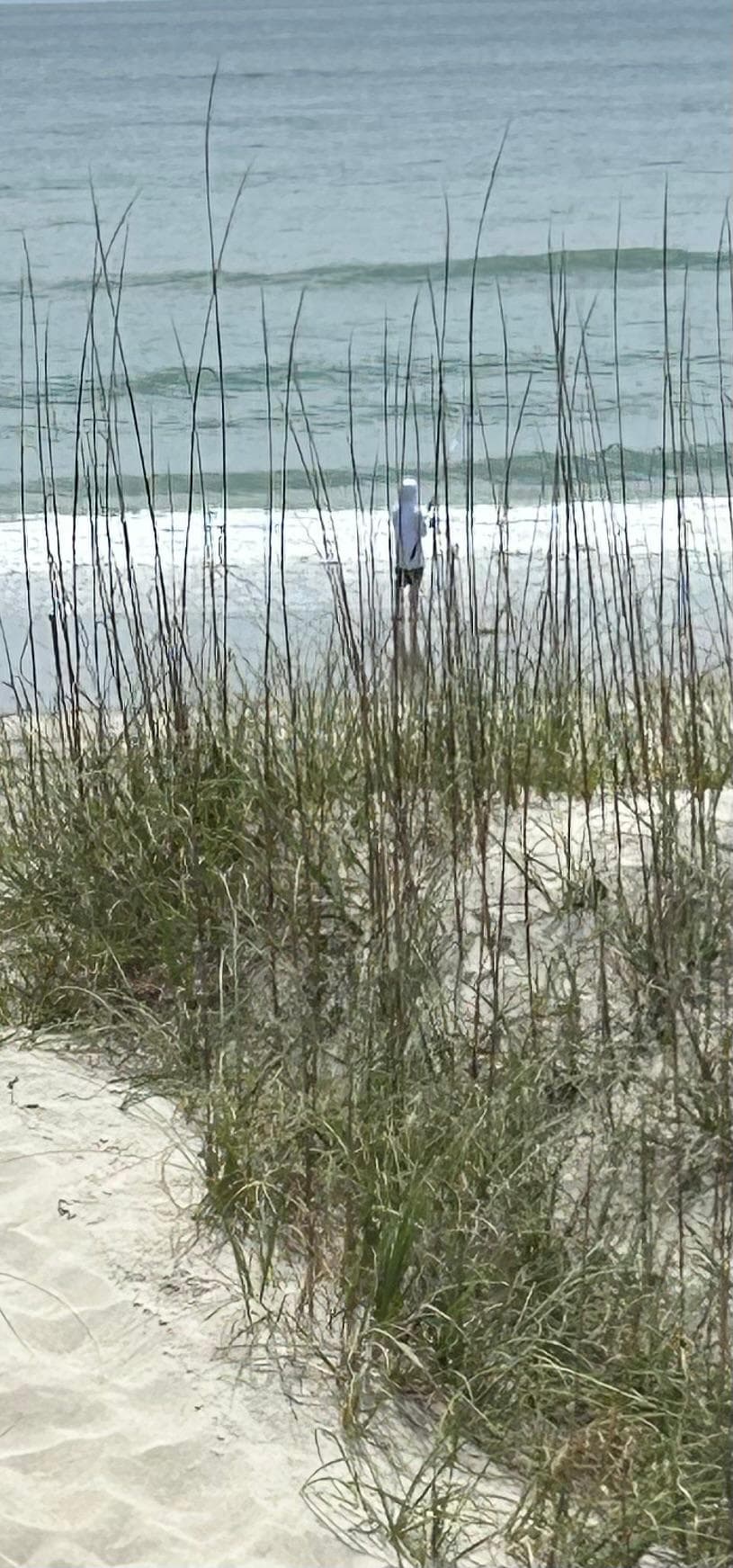 Surf fishing by the house