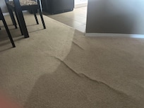 Apartment carpet
