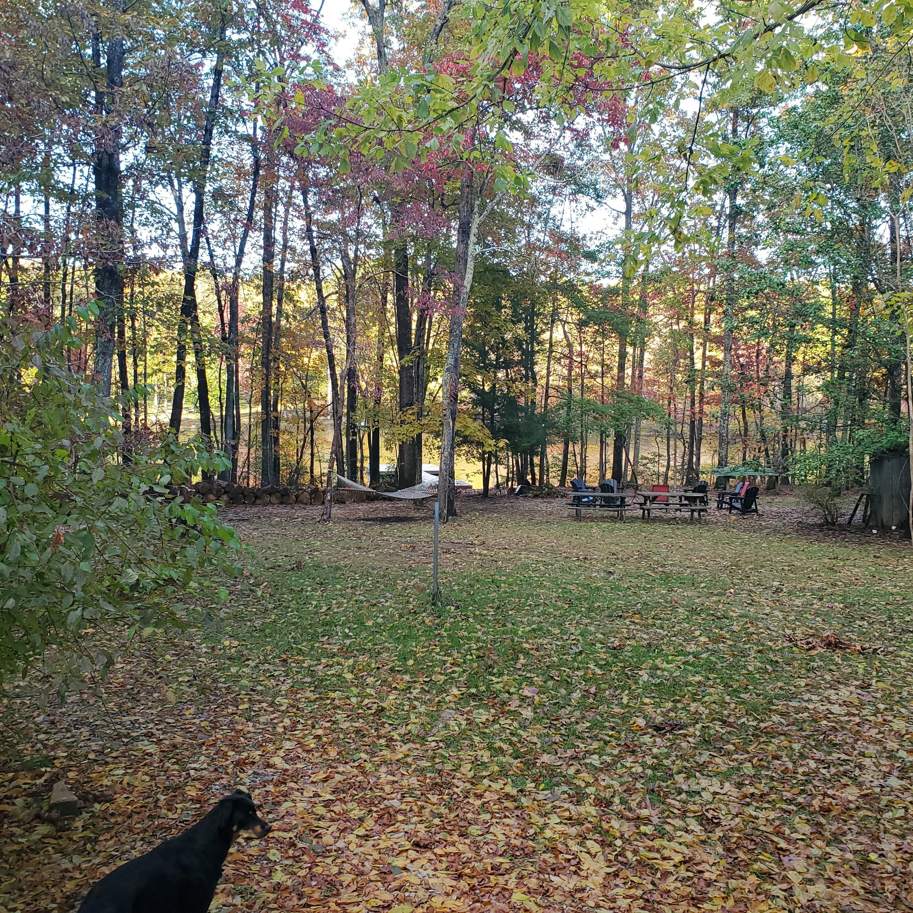 Looking from the porch towards the lake.