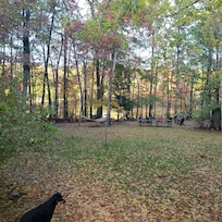 Looking from the porch towards the lake.