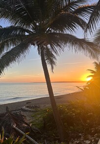 Morning sunrise