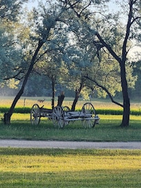 Cute carriage.