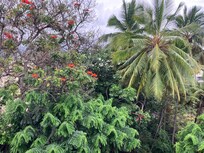 View from balcony