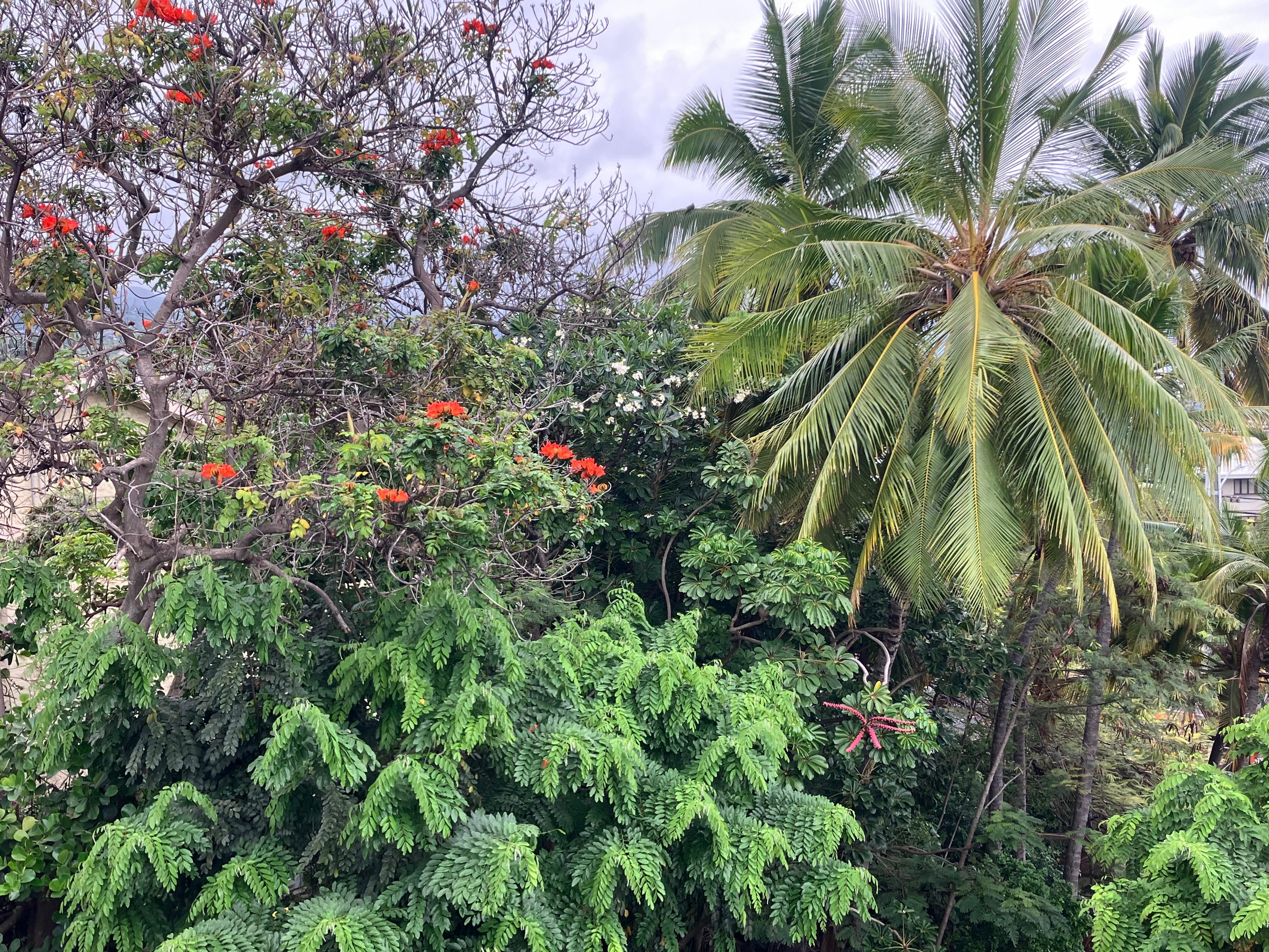 View from balcony