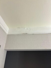 Black mold in bathroom