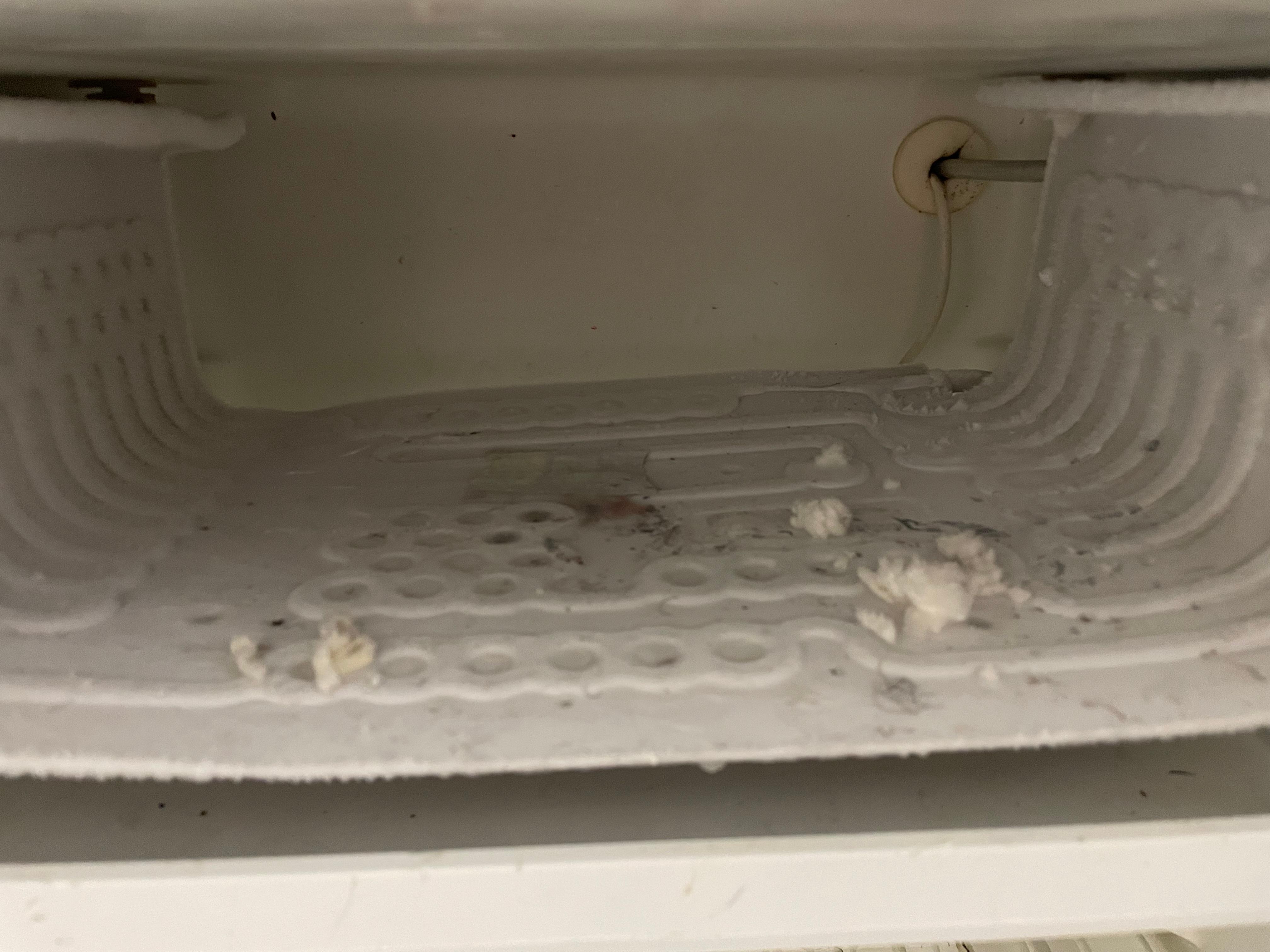 Inside of freezer 