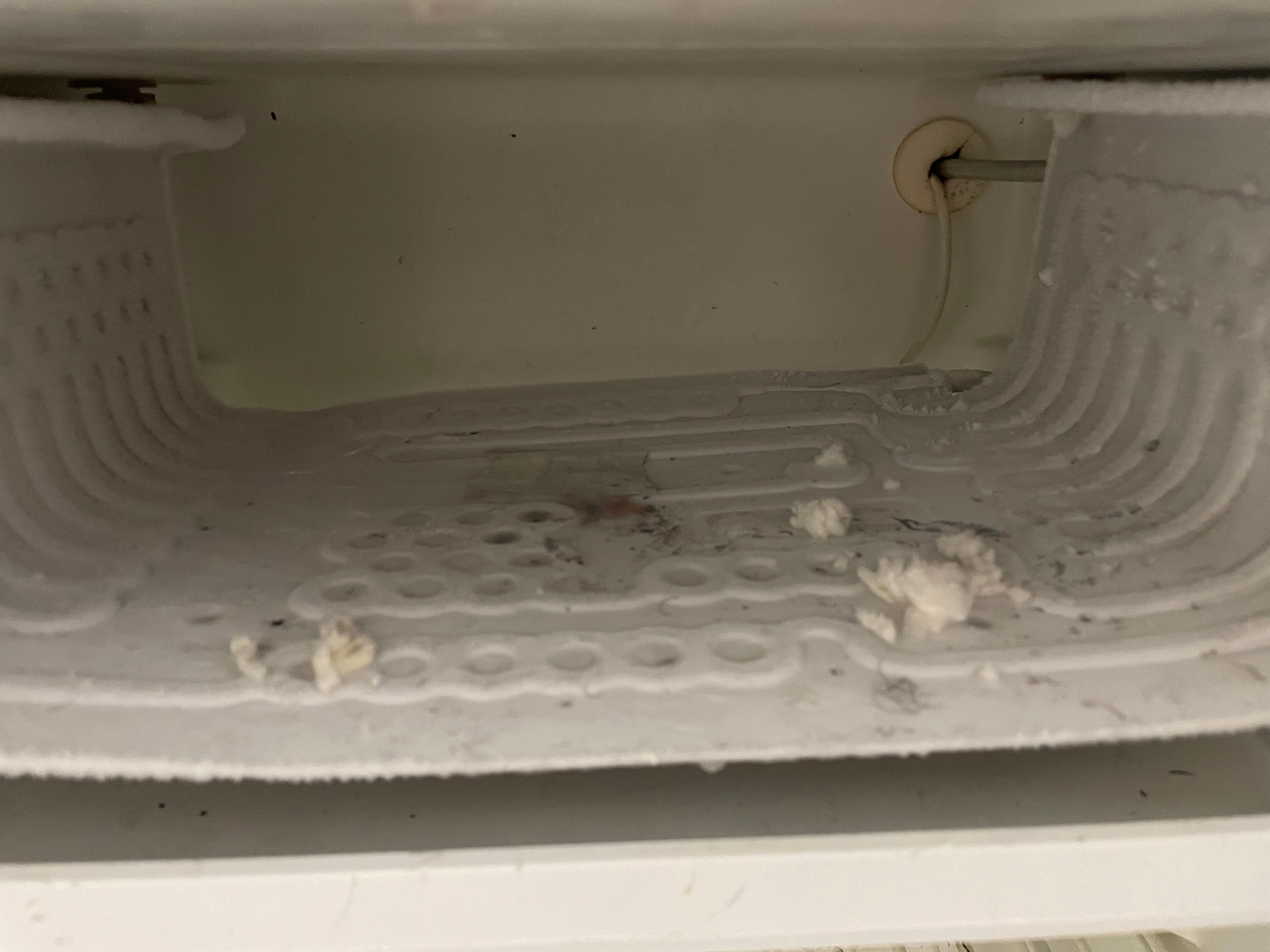 Inside of freezer 