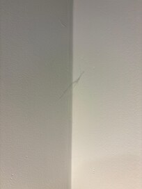 One of the various cobwebs in the house
