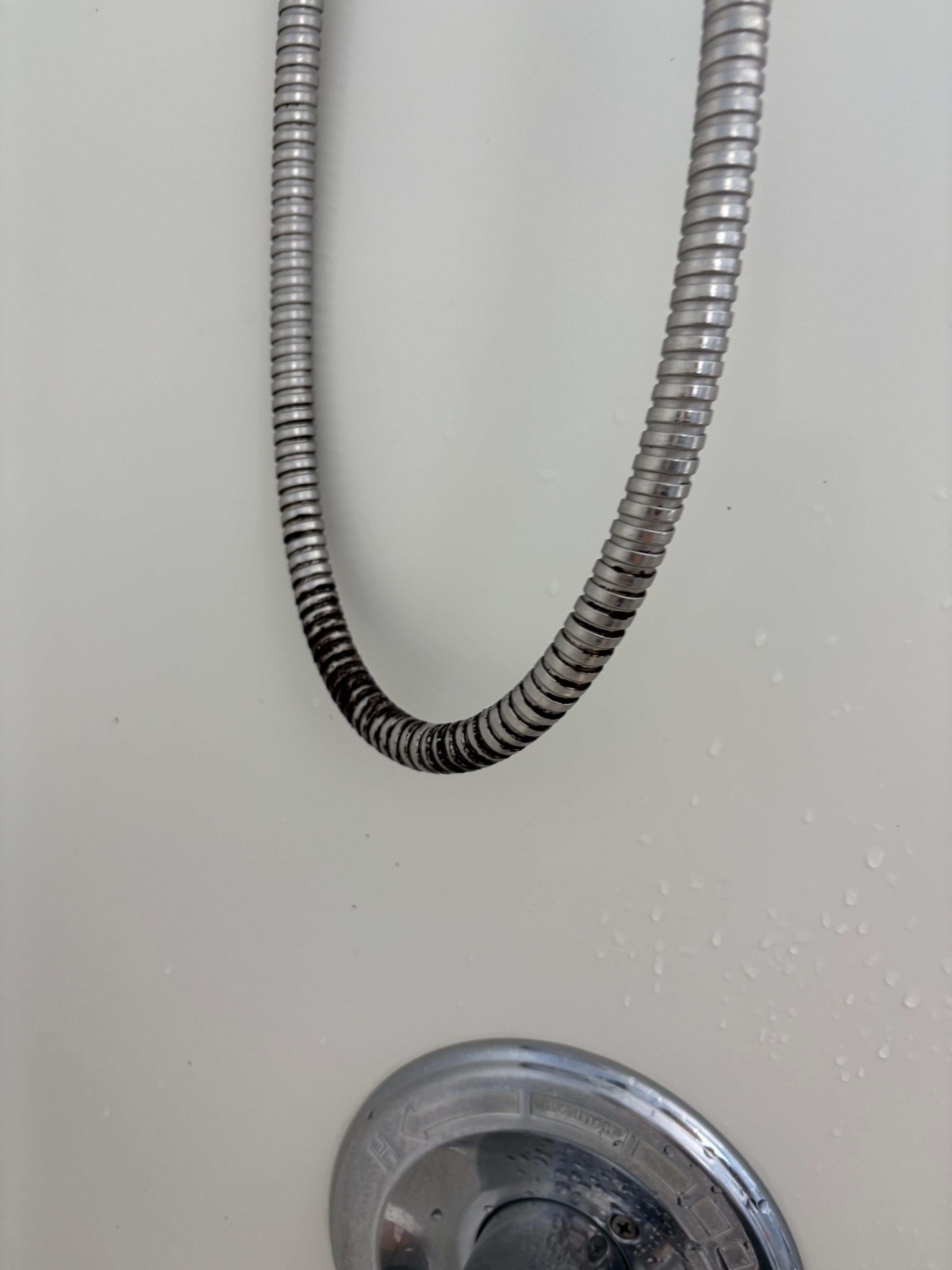 Mold on the showerhead hose. Small bathroom.