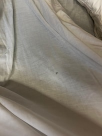 Forró de cama