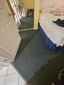 Carpet in bedroom