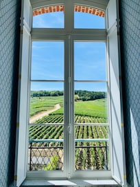 Vue depuis la chambre, chĂąteau de Sacy