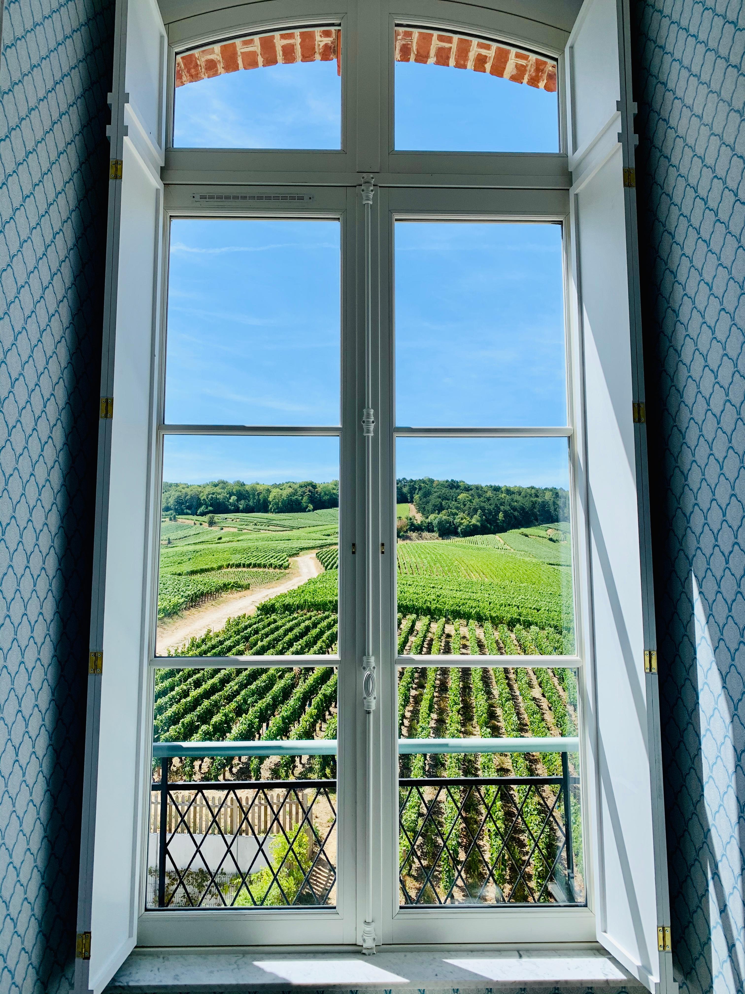 Vue depuis la chambre, château de Sacy