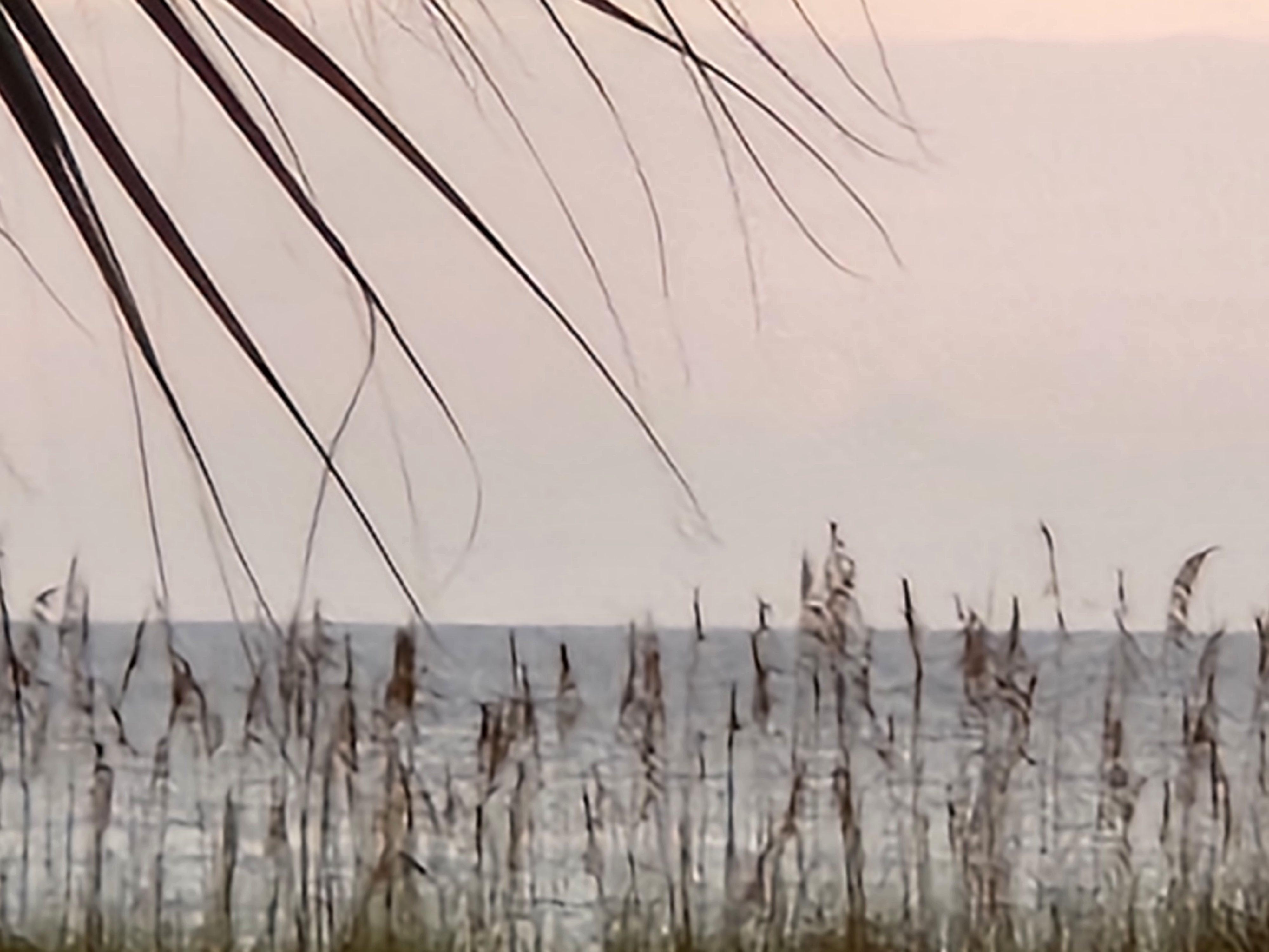 My wife's view while doing her daily devotional.