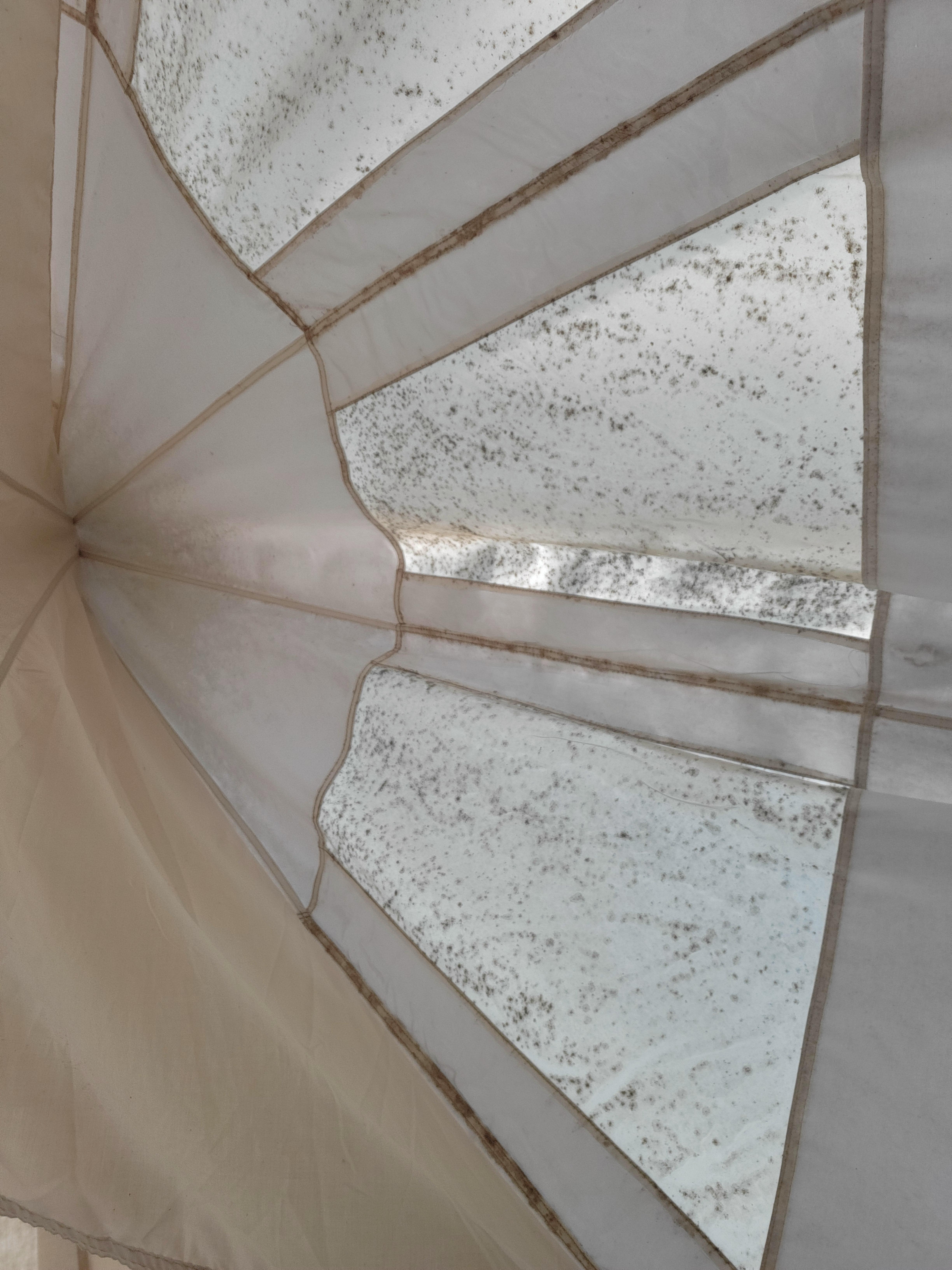 Supposed star view zoom in mold covered tarp over outside covering mold.