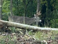 One of several!