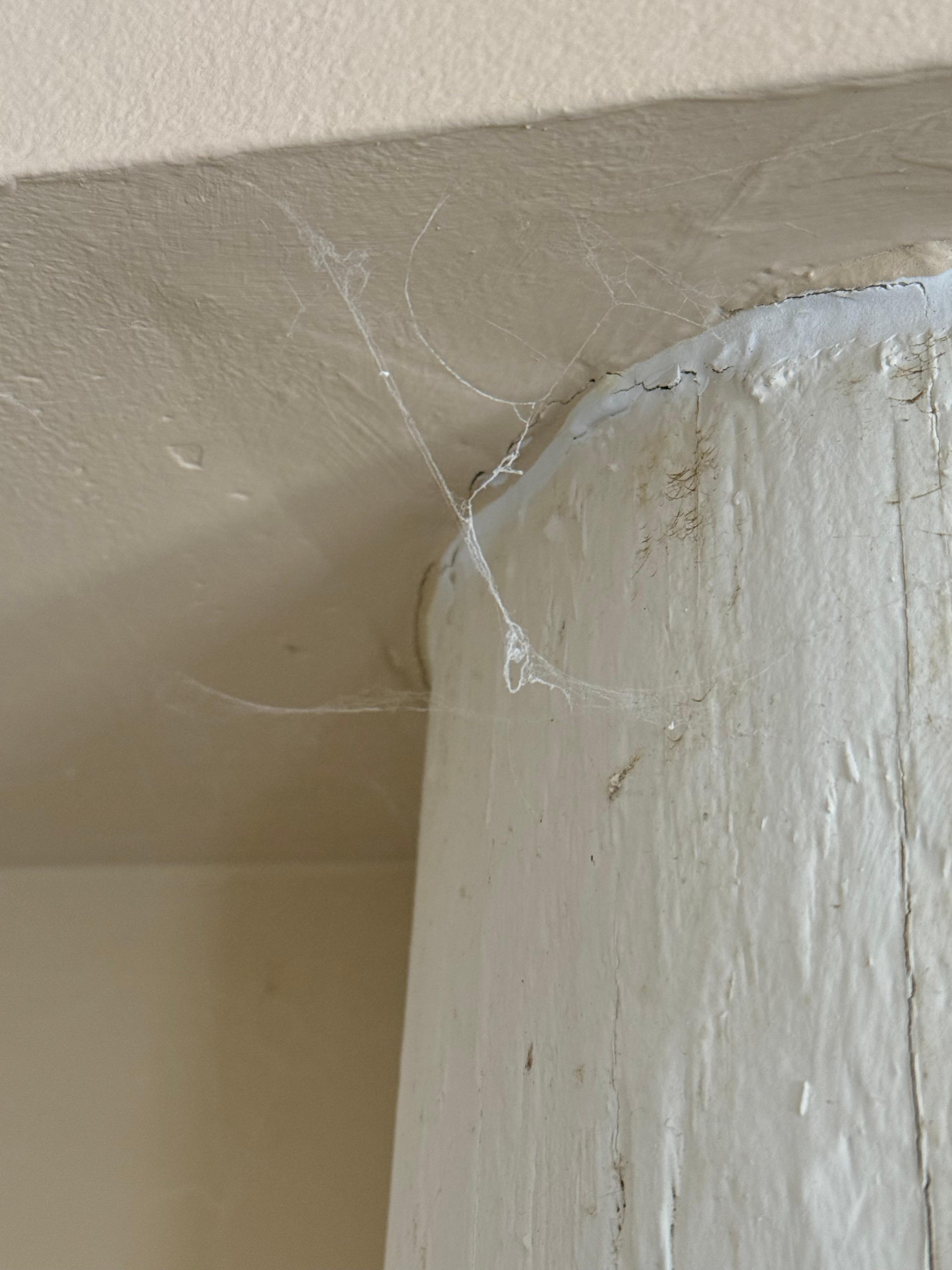 Cleanliness upon arrival.