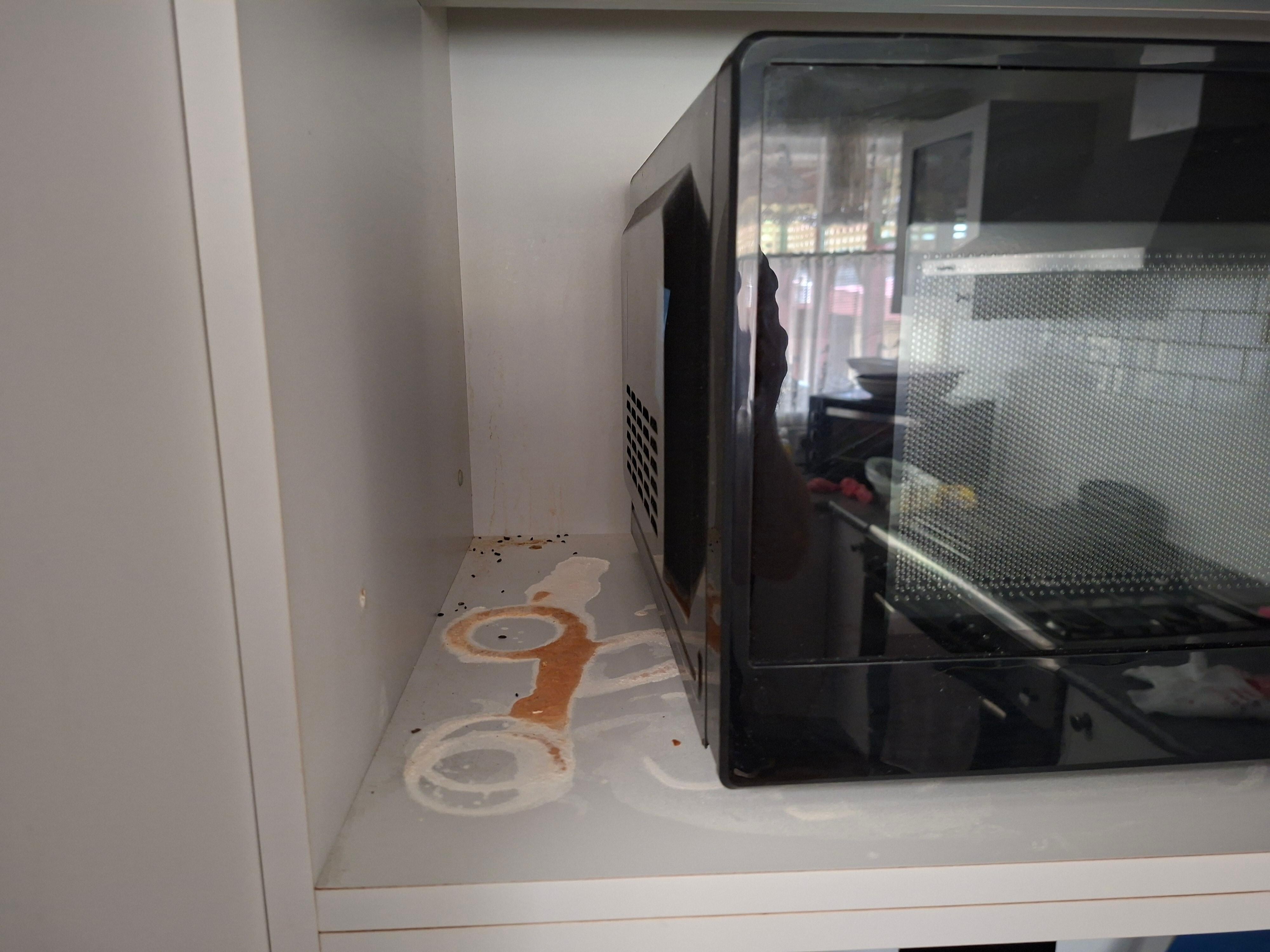 Mouse droppings behind toaster