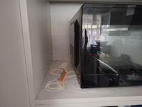 Mouse droppings behind toaster