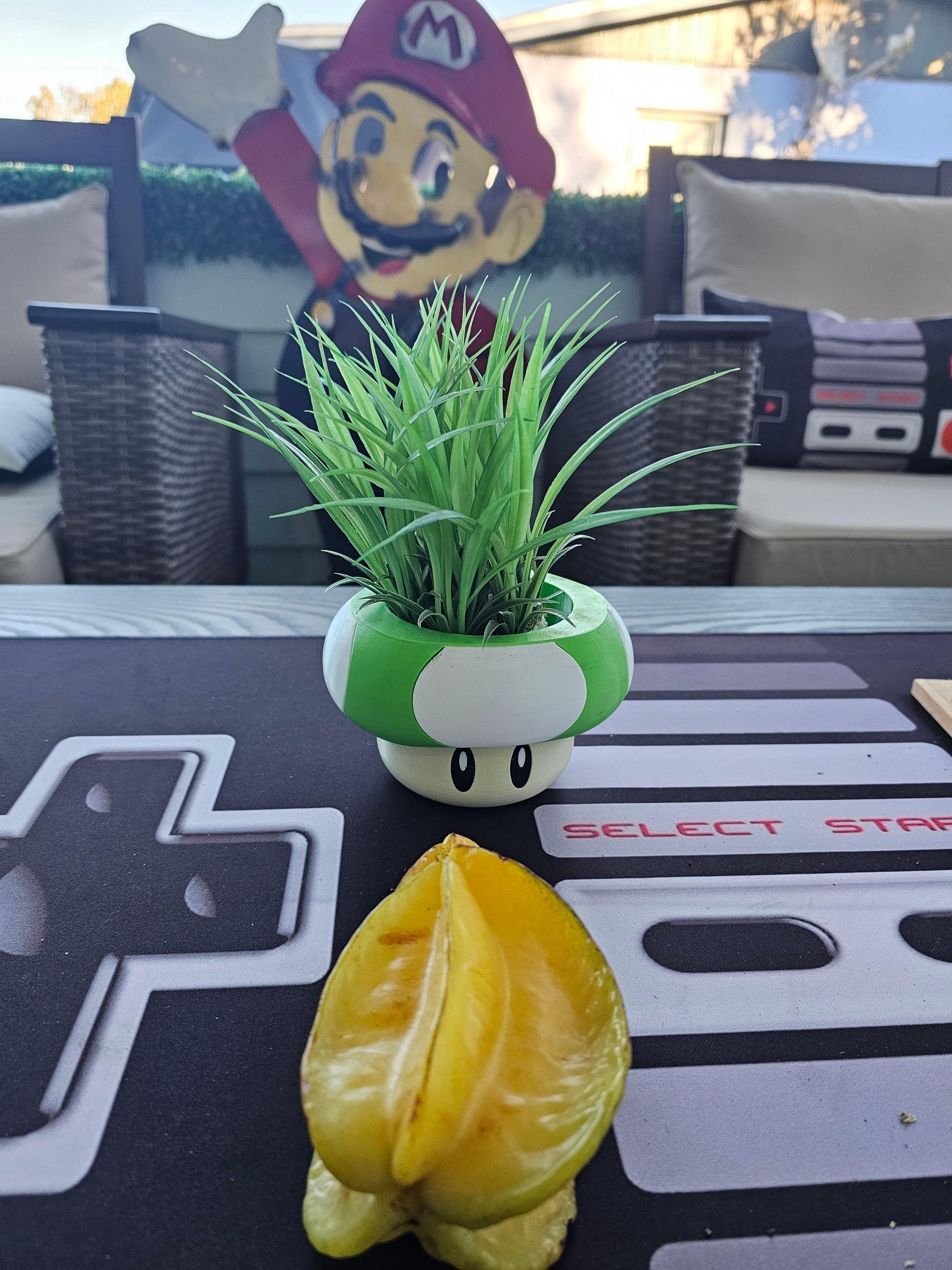 This is the screened porch. There is a star fruit tree in the backyard.