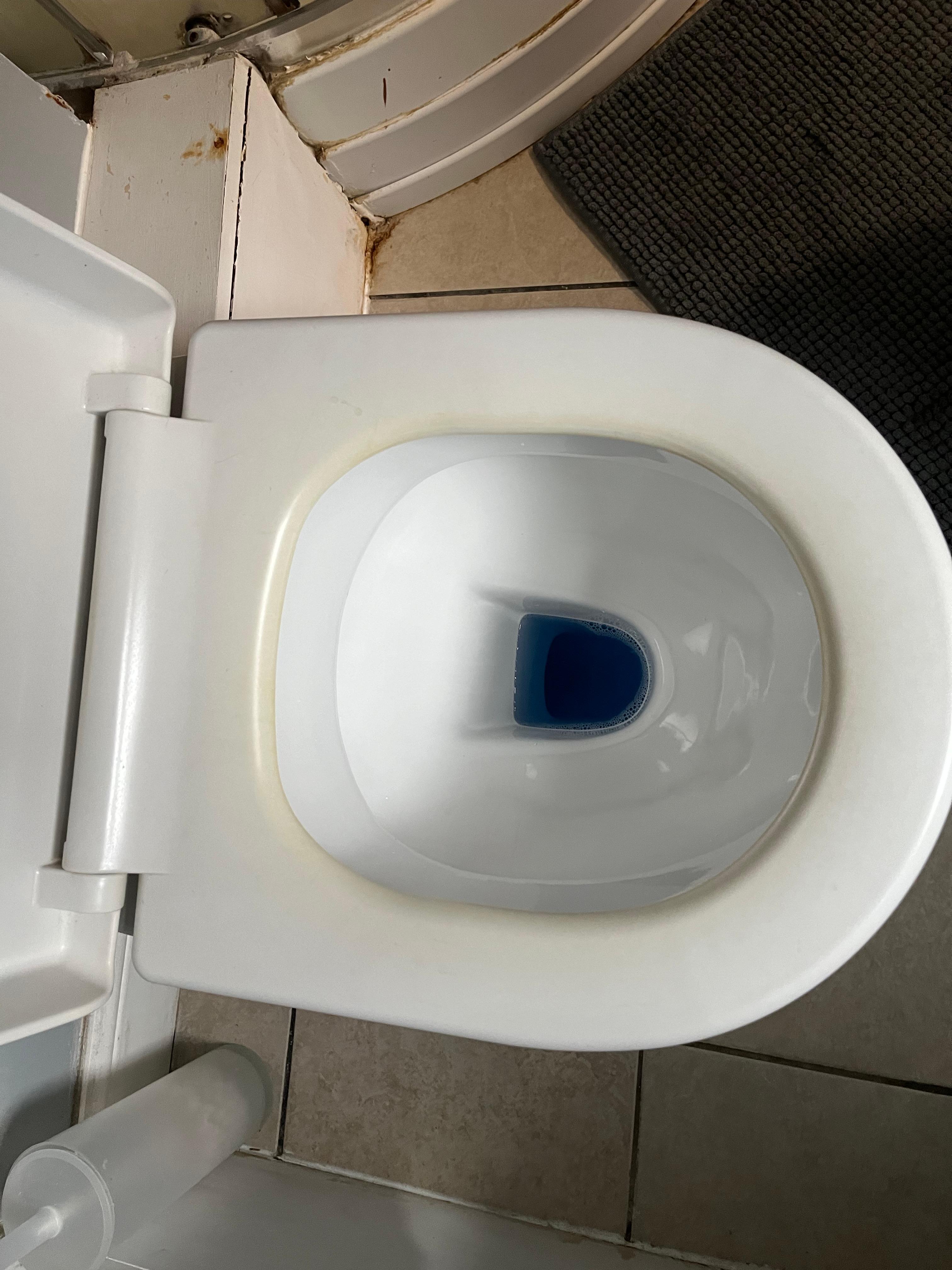 Disgusting toilet seat