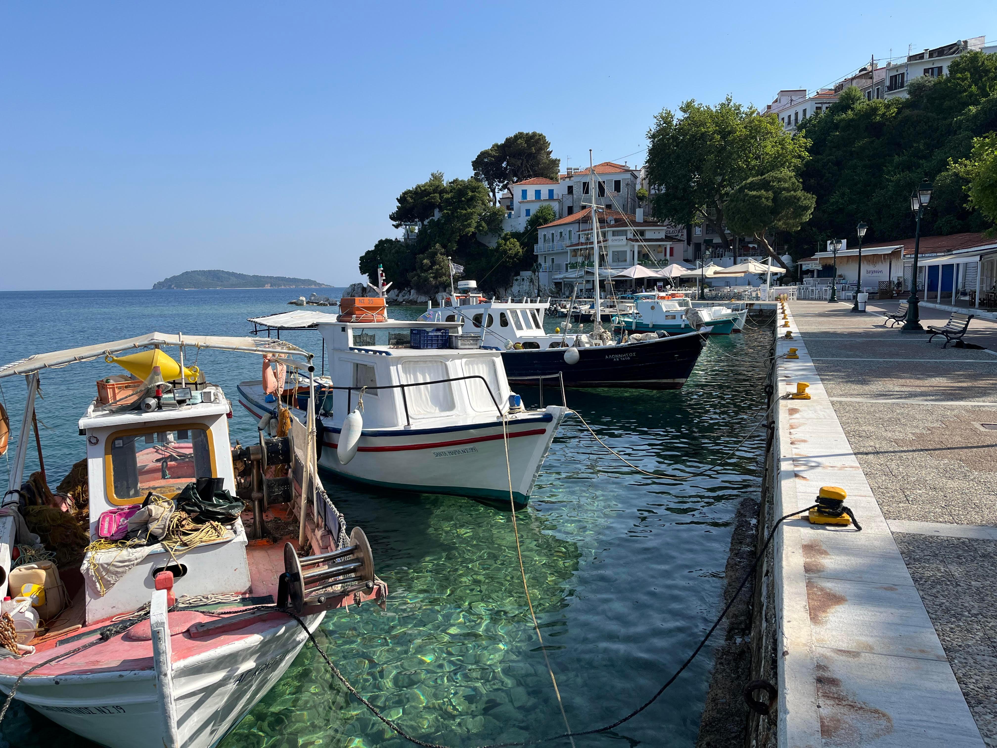 Le port à côté de l'hôtel Tree