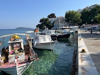 Le port à côté de l'hôtel Tree