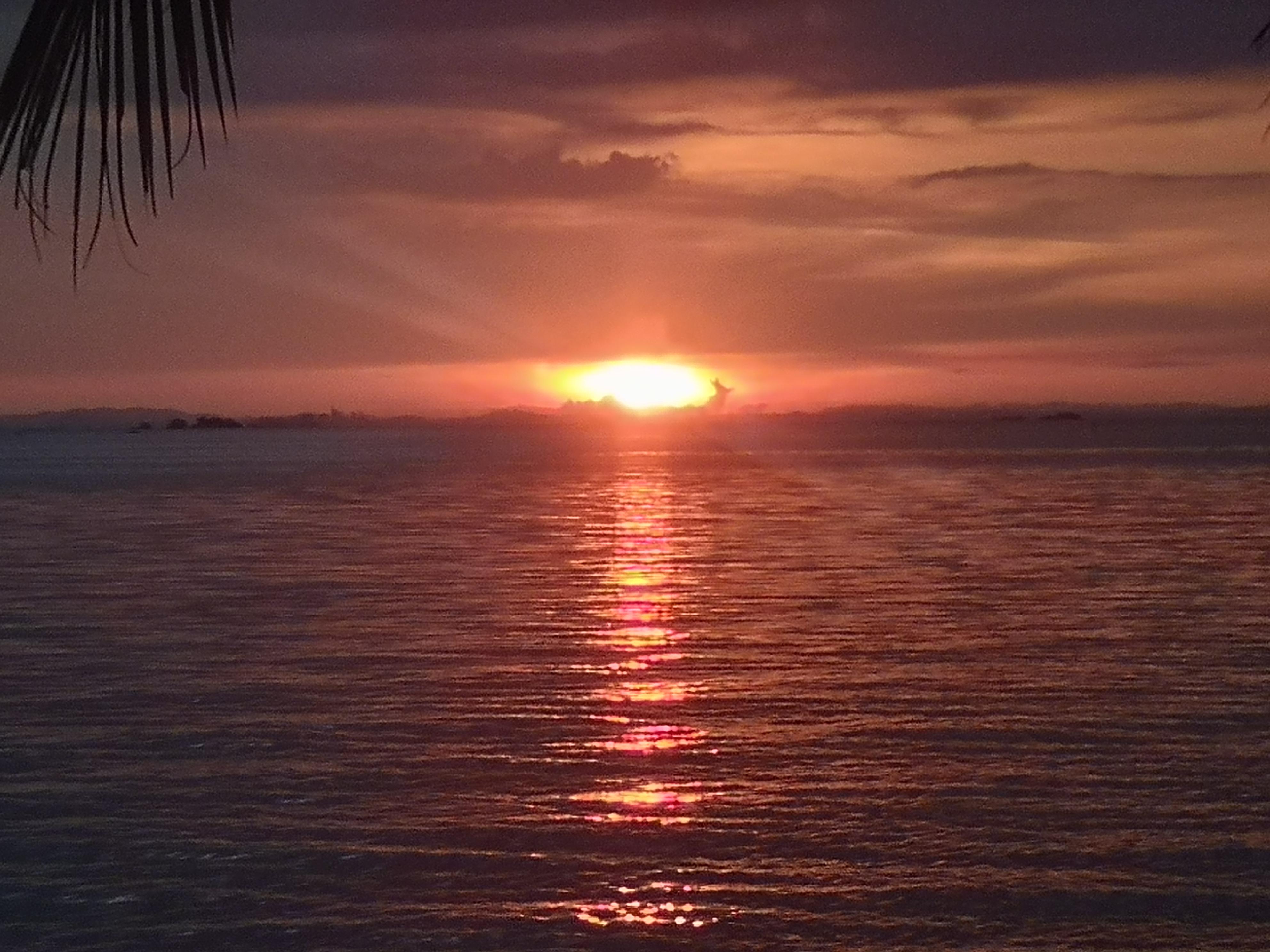 Sunset from the ferry terminal