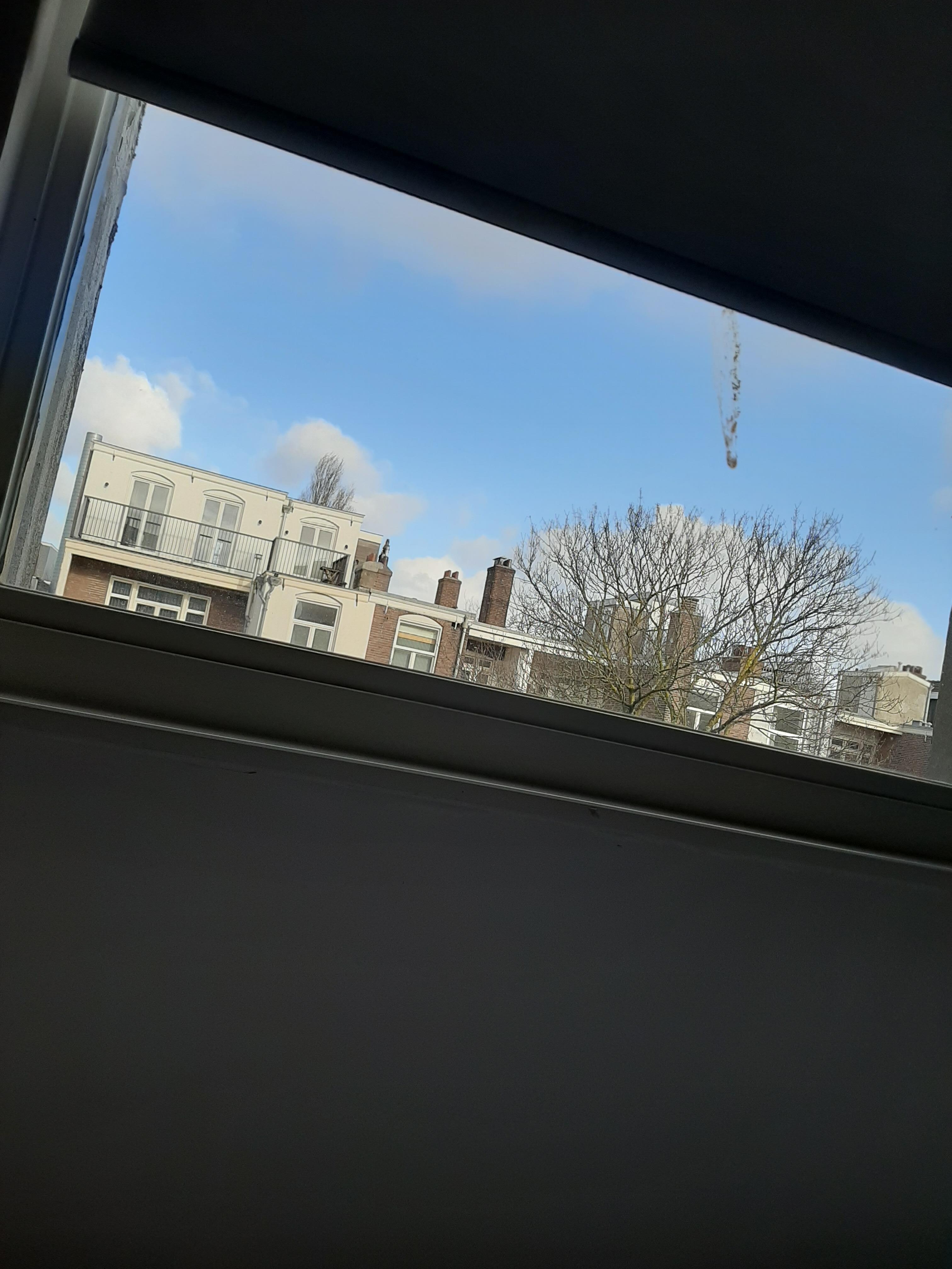 View from my room.