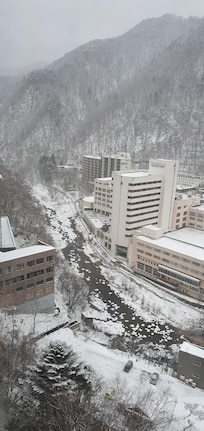 View from my tatami room